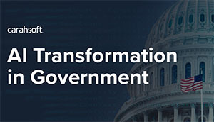 AI Transformation in Government