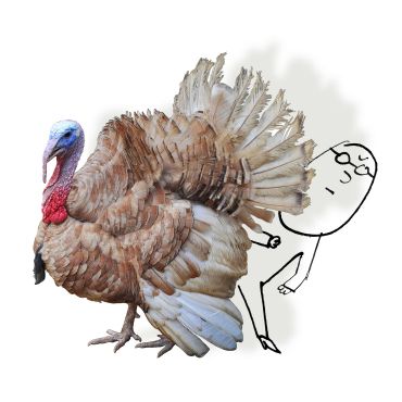 cartoon man and turkey